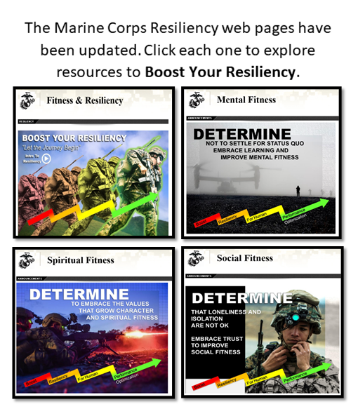 Resiliency Web Pages & Videos